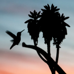 Formation Yoga pour enfants 23-24 proche Montpellier